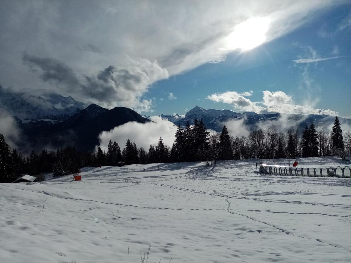 Mont Etape , F2, 42 M2, Calme, Vue Mt Blanc Lejlighed Passy  Eksteriør billede