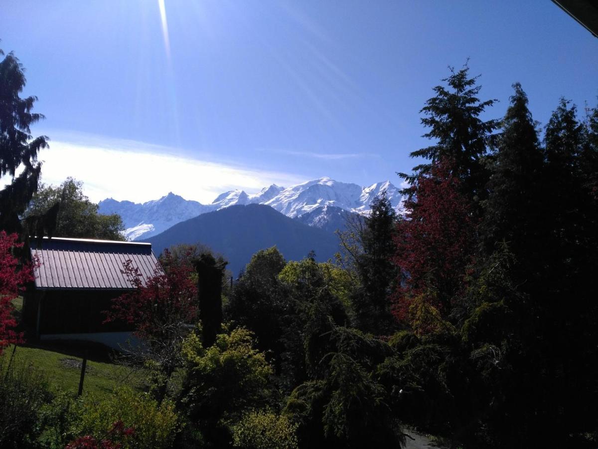 Mont Etape , F2, 42 M2, Calme, Vue Mt Blanc Lejlighed Passy  Værelse billede